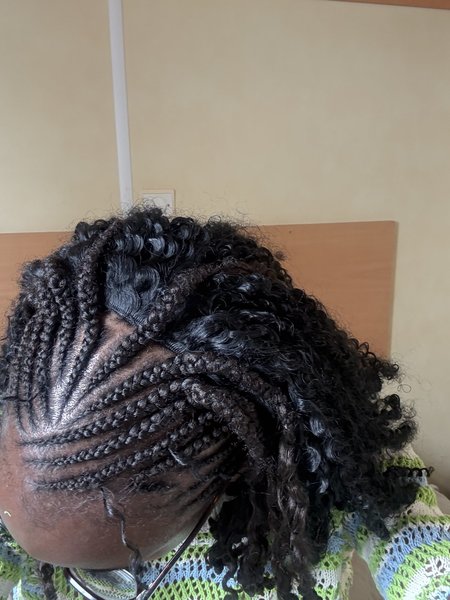 lima_braid