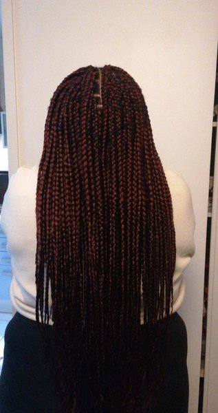 Box braid (Rasta)
