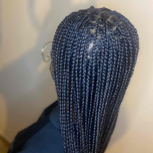 Box braid (Rasta)
