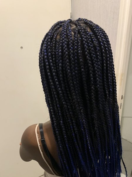 Box braid (Rasta)