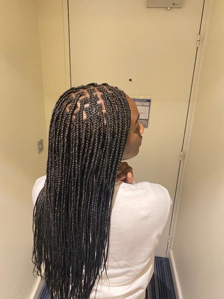 Box braid (Rasta)