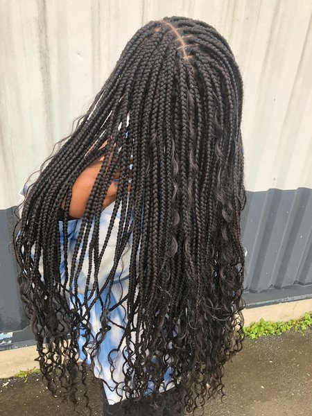 Box braid (Rasta)