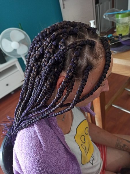 Box Braids 
