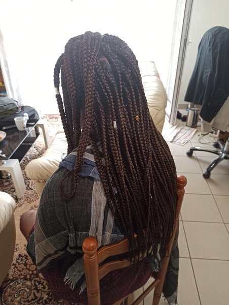 Box Braids 