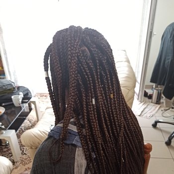 Box Braids 