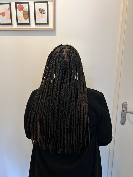 Box braids 