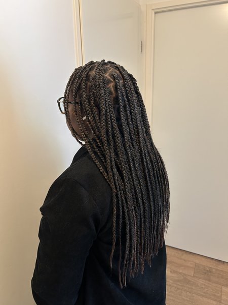 Box braids 