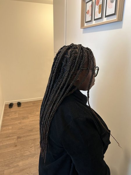 Box braids 