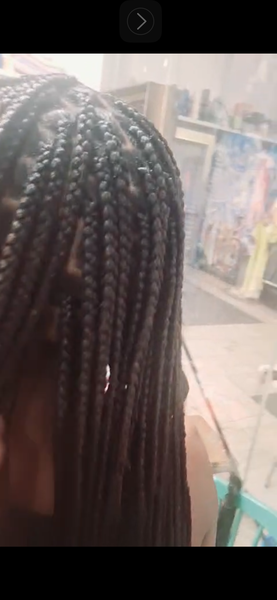 Box Braids 