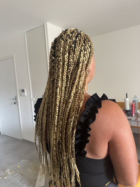 Boxbraid