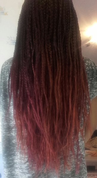 Braids raid