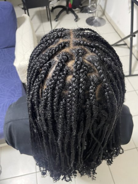 Braids simples