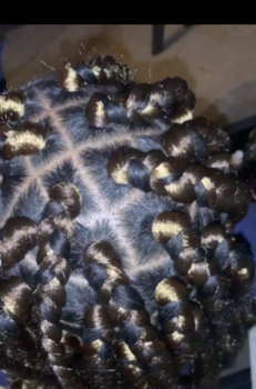 Braids