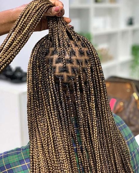 Braids 