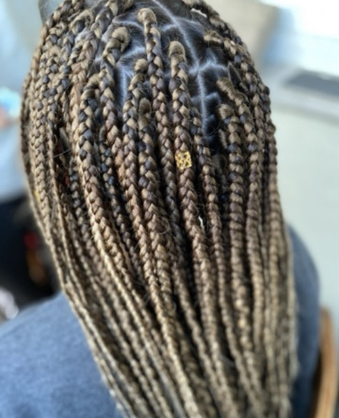 Braids 
