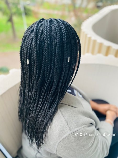BRAIDS