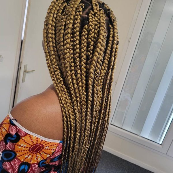 Braids 