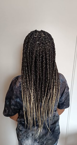 Braids 