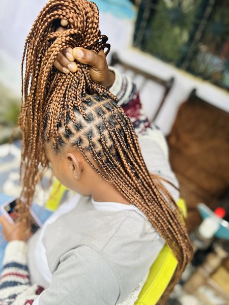 Braids 