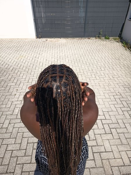 Braids