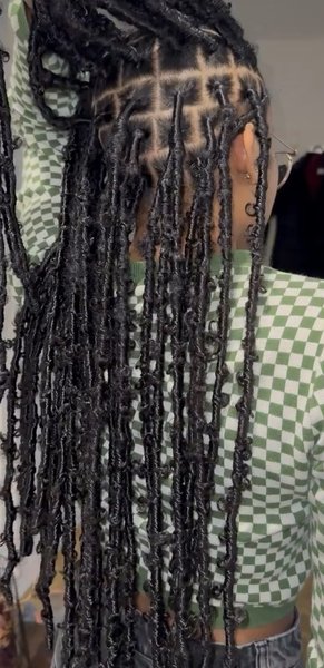 Butterfly locs 