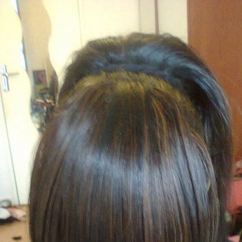 chignon 2