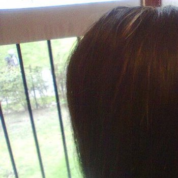 chignon 2