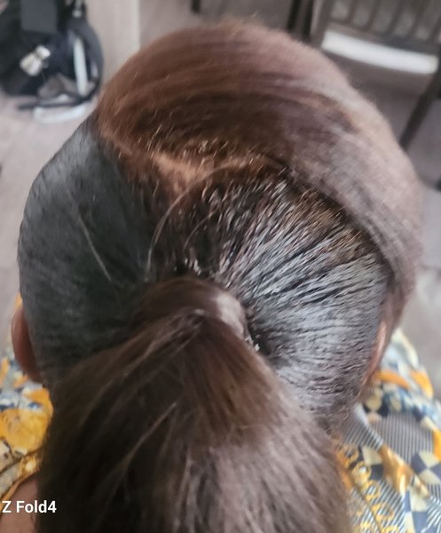 Chignon 