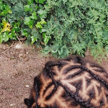 Coiffure enfant