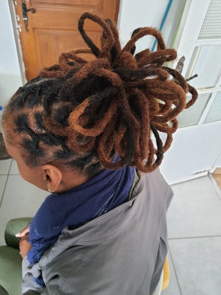 Coiffure sur locks