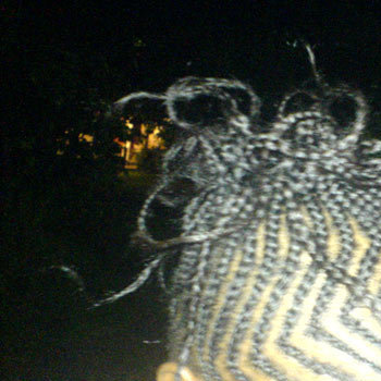 Coiffure tresses collées