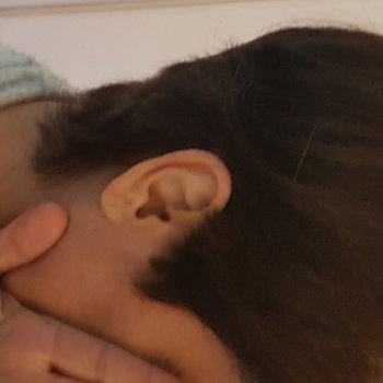 Coupe aux ciseaux
