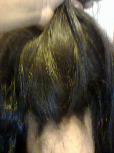 Coupe+ extension