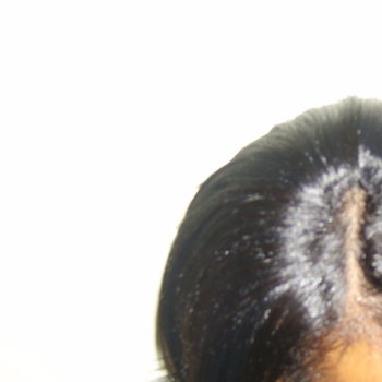 COUPE JEROSTAR