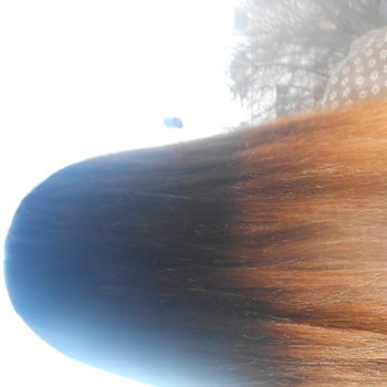 Différentes coupes de cheveux féminines