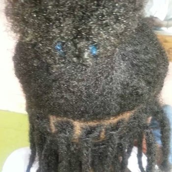 dread locks au crochet départ et entretien