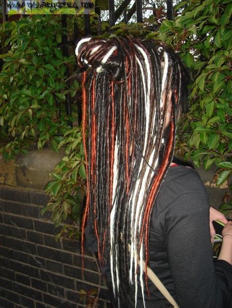 dreadlocks extensions web photos