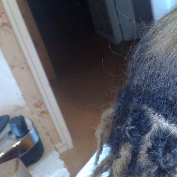 Dreadlocks