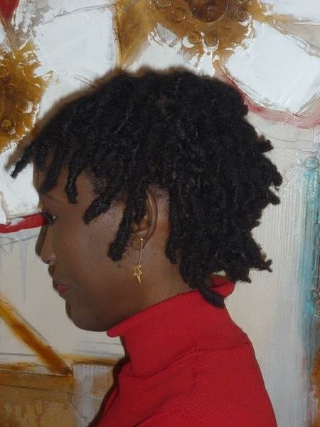 Evolution de mes locks 