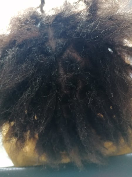 Extensions naturelles