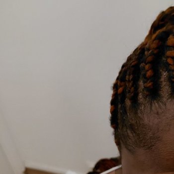 Filani Braid