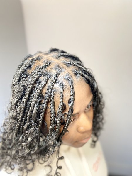 Fulani braids 