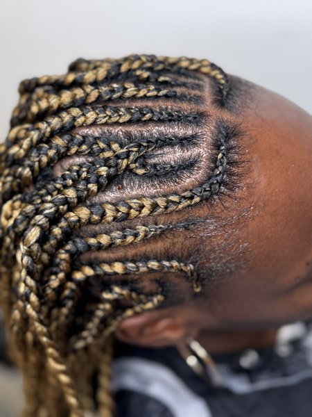 Fulani twists 