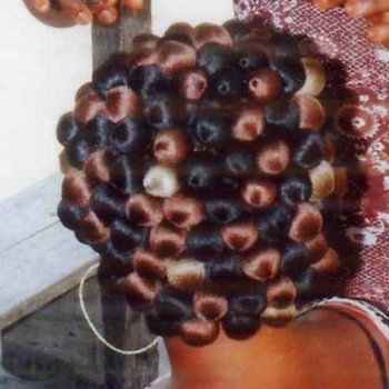 Graine de beauté