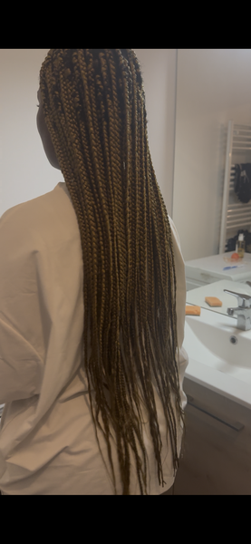 Knotless braid 