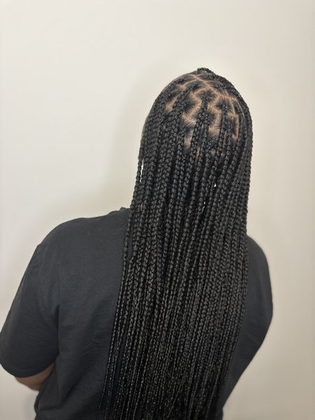 Knotless 