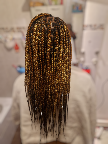 Knowless braids