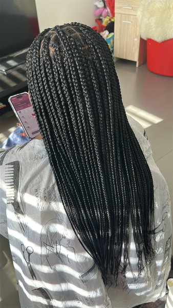 Knowtless braids