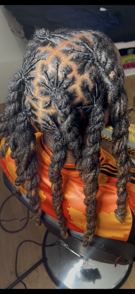 Locks + Coiffure grosse vanille (twist épais protecteur sur locks)