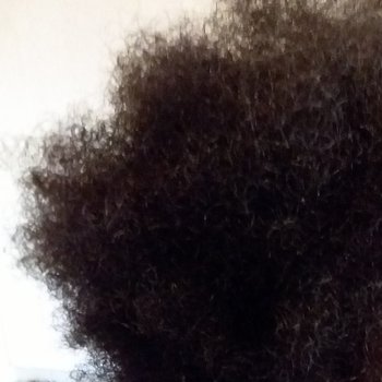 Locs